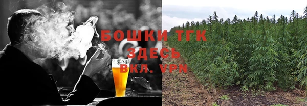 крисы Осташков