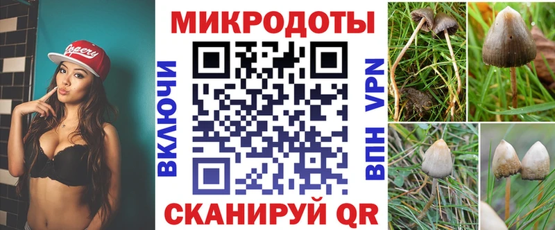 закладки  Заводоуковск  Галлюциногенные грибы ЛСД 